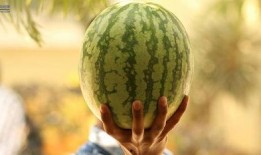 瓜地吃瓜娱乐圈,娱乐圈的甜蜜与苦涩