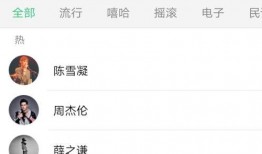 娱乐吃瓜音乐是什么软件,揭秘热门音乐软件背后的故事