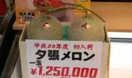 娱乐吃瓜小号,吃瓜小号带你探秘明星幕后故事