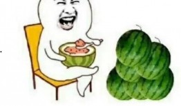 娱乐圈专业吃瓜