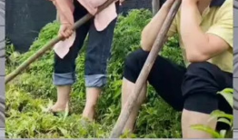 cos娱乐吃瓜群众一号,揭秘吃瓜群众一号的幕后故事