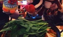 咕咕哒吃瓜娱乐,揭秘娱乐圈幕后故事