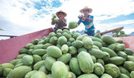 每日吃瓜大赛入口汇聚地,汇聚地揭秘，瓜界风云再起