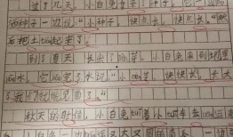 吃瓜大赛作文600字,一场舌尖上的吃瓜大赛
