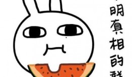 娱乐吃瓜酱自我介绍,揭秘娱乐圈幕后故事，带你领略明星幕后生活