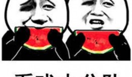 吃瓜这个表情包是什么意思,网络时代的幽默与社交风向标