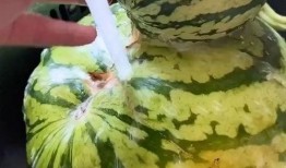 娱乐吃瓜配音视频大全,全网热门娱乐吃瓜配音视频大盘点