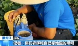 娱乐吃瓜直播怎样加入,揭秘娱乐吃瓜直播的加入之道