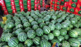 每日吃瓜大赛入口汇聚地,汇聚地揭秘，瓜界风云再起