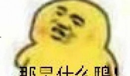 吃瓜这个表情包是什么意思,网络时代的幽默与社交风向标