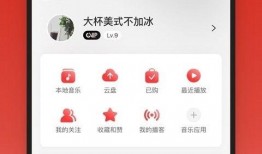 娱乐吃瓜酱网易云
