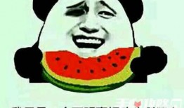 娱乐圈吃瓜的梗是什么意思,揭秘明星幕后故事与娱乐八卦的狂欢盛宴